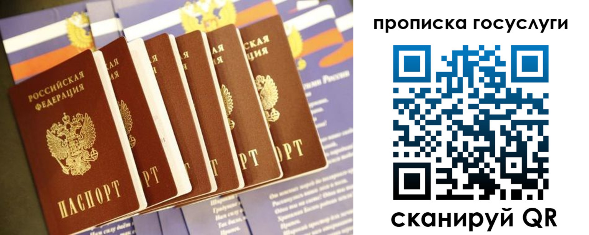 временная регистрация в Павловском Посаде
